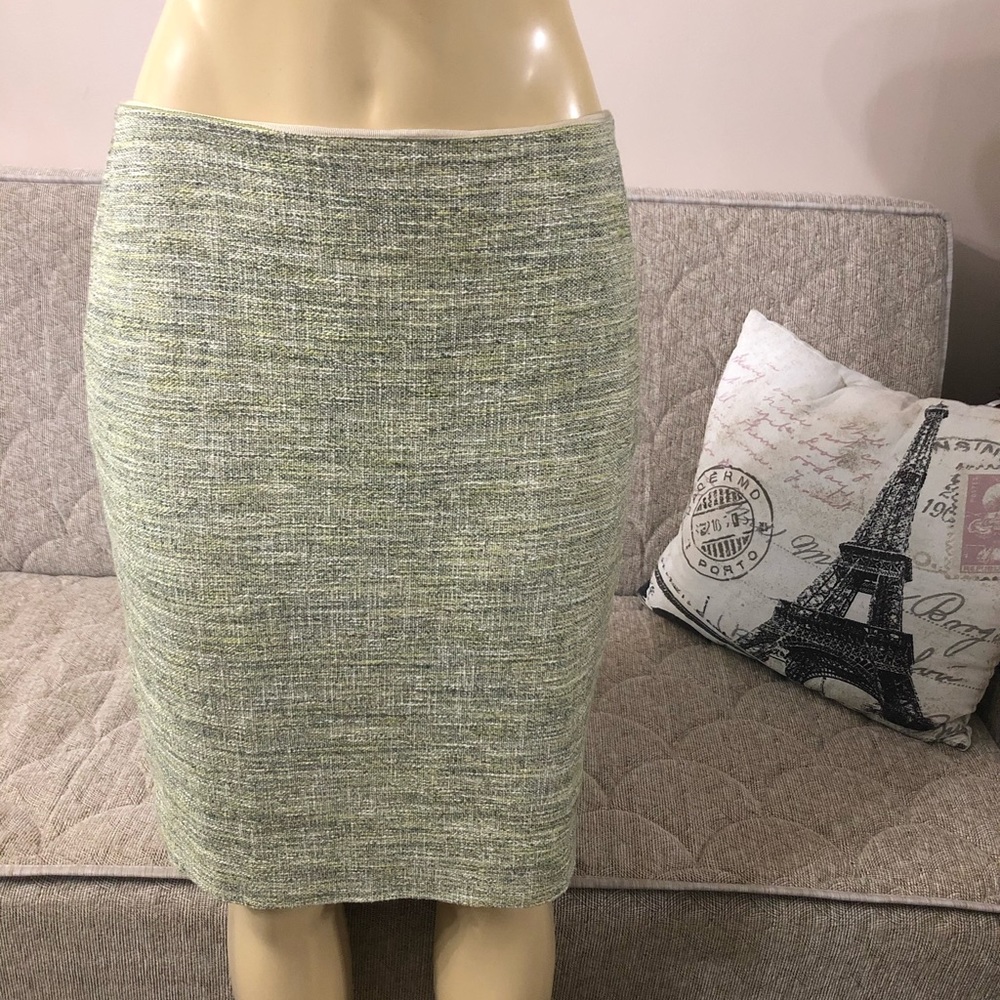 Ann Taylor skirt size 10 new with tag